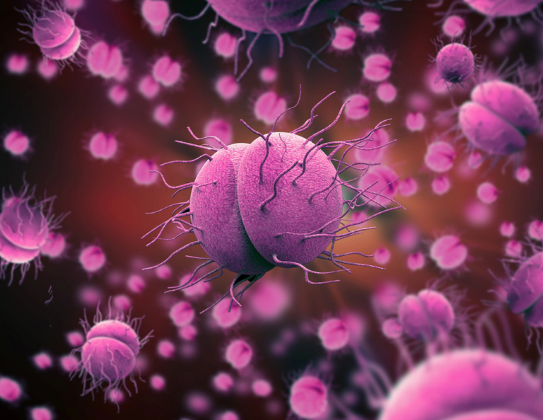 gonorrhoea betegség