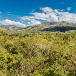 Honduras faj