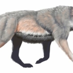 óriásfarkas
