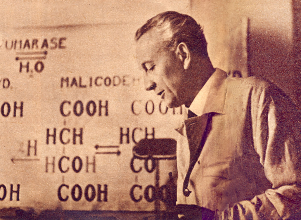Szentgyörgyi Albert, magyar tudomány, Nobel-díjas, C-vitamin, tudós