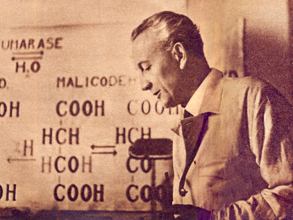 Szentgyörgyi Albert, magyar tudomány, Nobel-díjas, C-vitamin, tudós