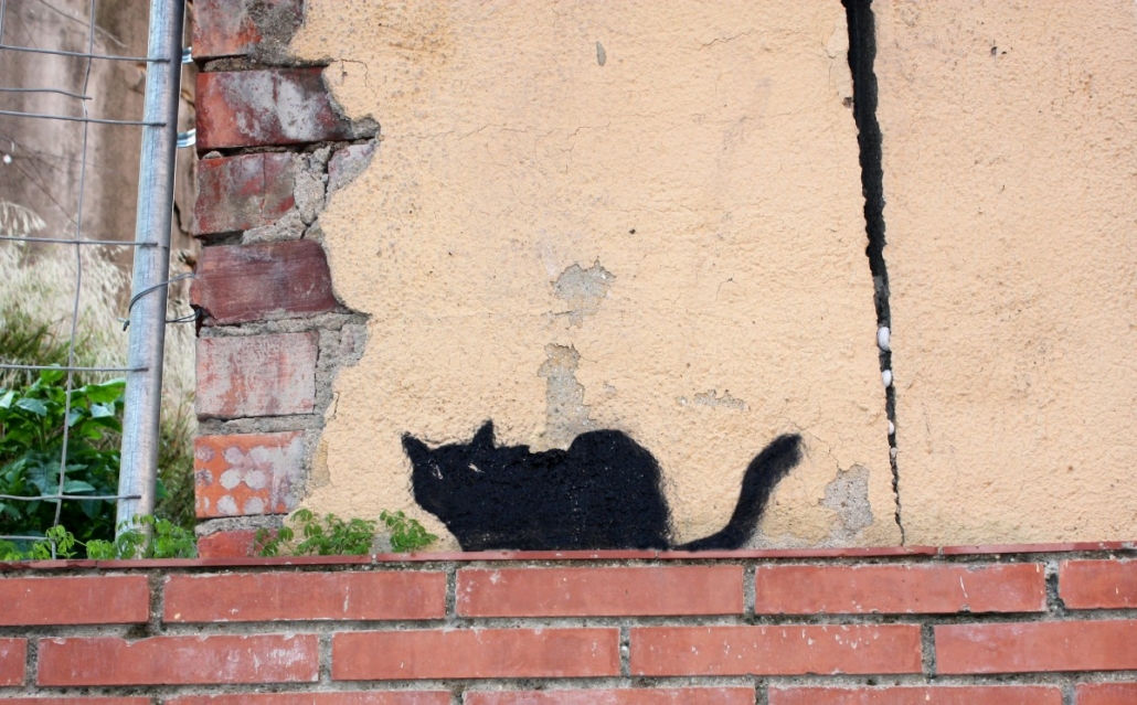 fekete macska házfal graffiti