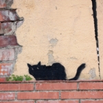 fekete macska házfal graffiti