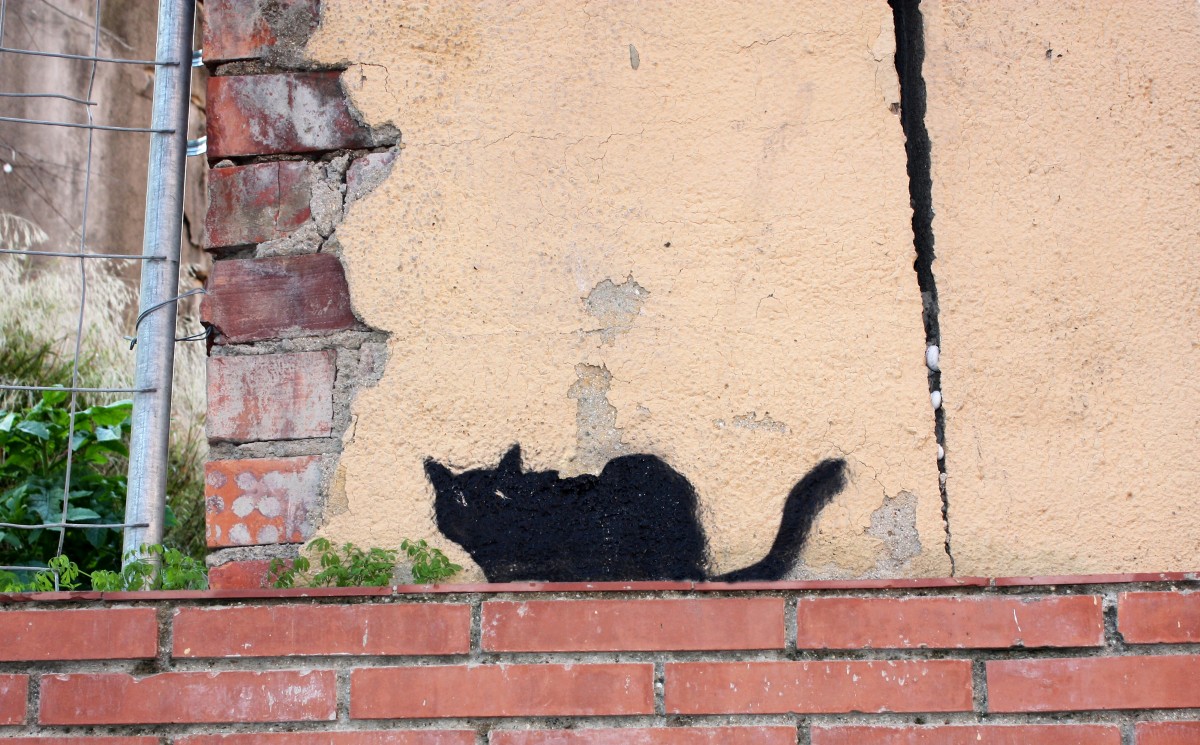 fekete macska házfal graffiti