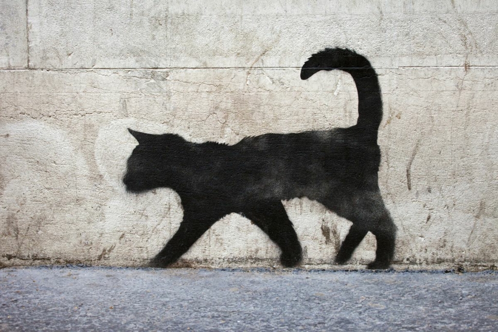 fekete macska cica graffiti Párizsban