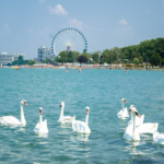 Siófok Balaton legbiztonságosabb magyar település