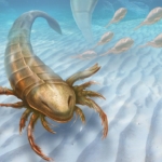 ordovícium élőlény