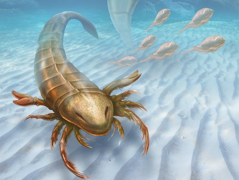 ordovícium élőlény