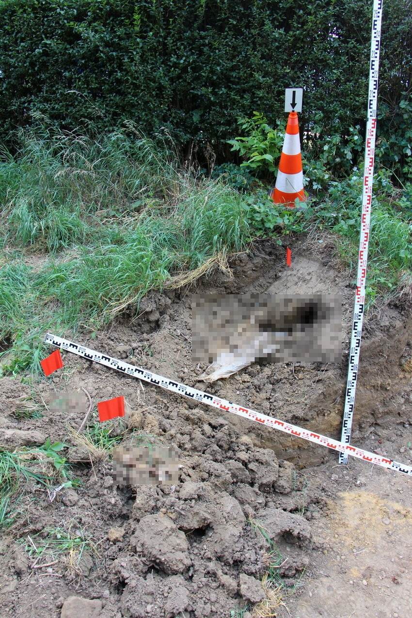 25 év után kerültek elő a férfi maradványai3 (1)