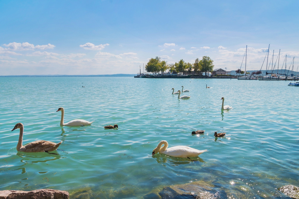 Balaton strandbelépő étkezés árak