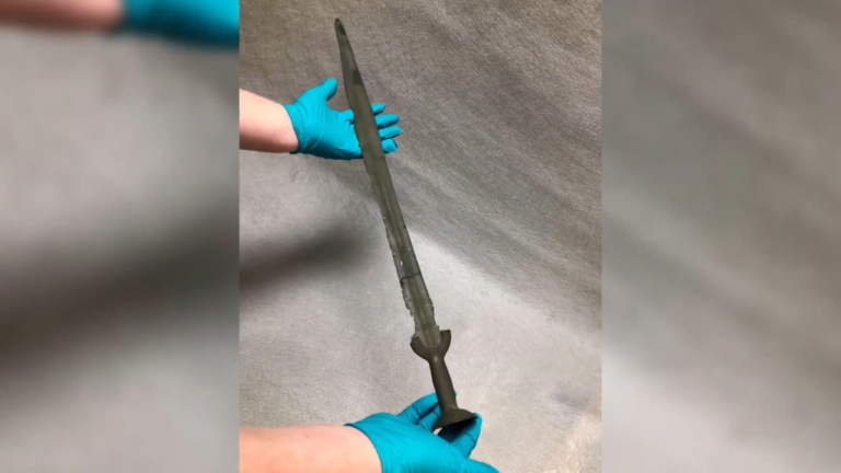 Chicago Field Museum Kard Duna magyarország