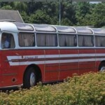 Faros Ikarus 55 retró buszok