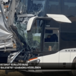 szabadka busz