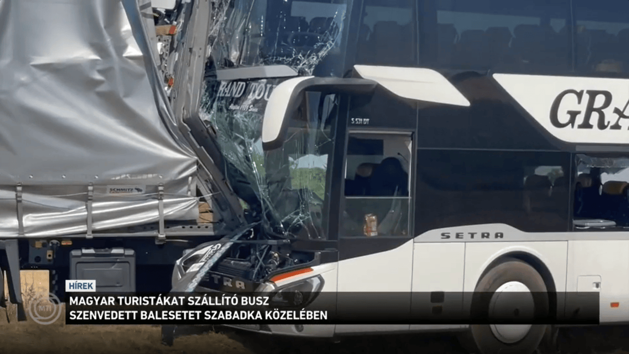 szabadka busz