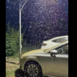 Balaton szúnyoginvázió