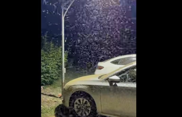 Balaton szúnyoginvázió