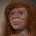 denny neandervölgyi gyenyiszovai ember hibrid