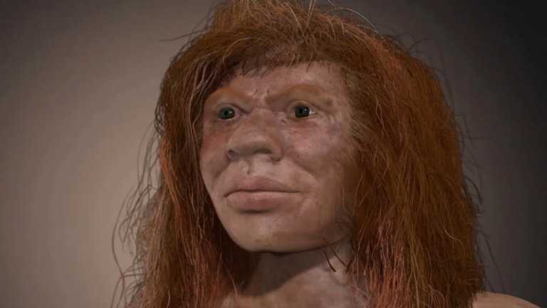 denny neandervölgyi gyenyiszovai ember hibrid