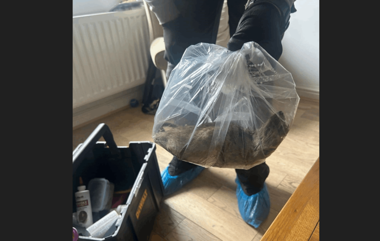 Hatalmas patkány fogtak Angliában (Copy)