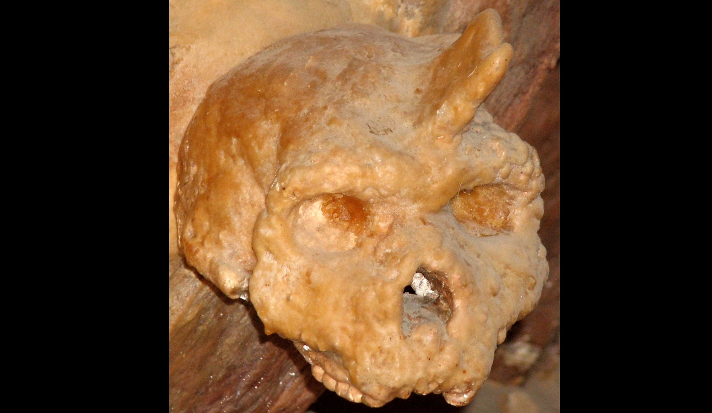 Petralona koponya