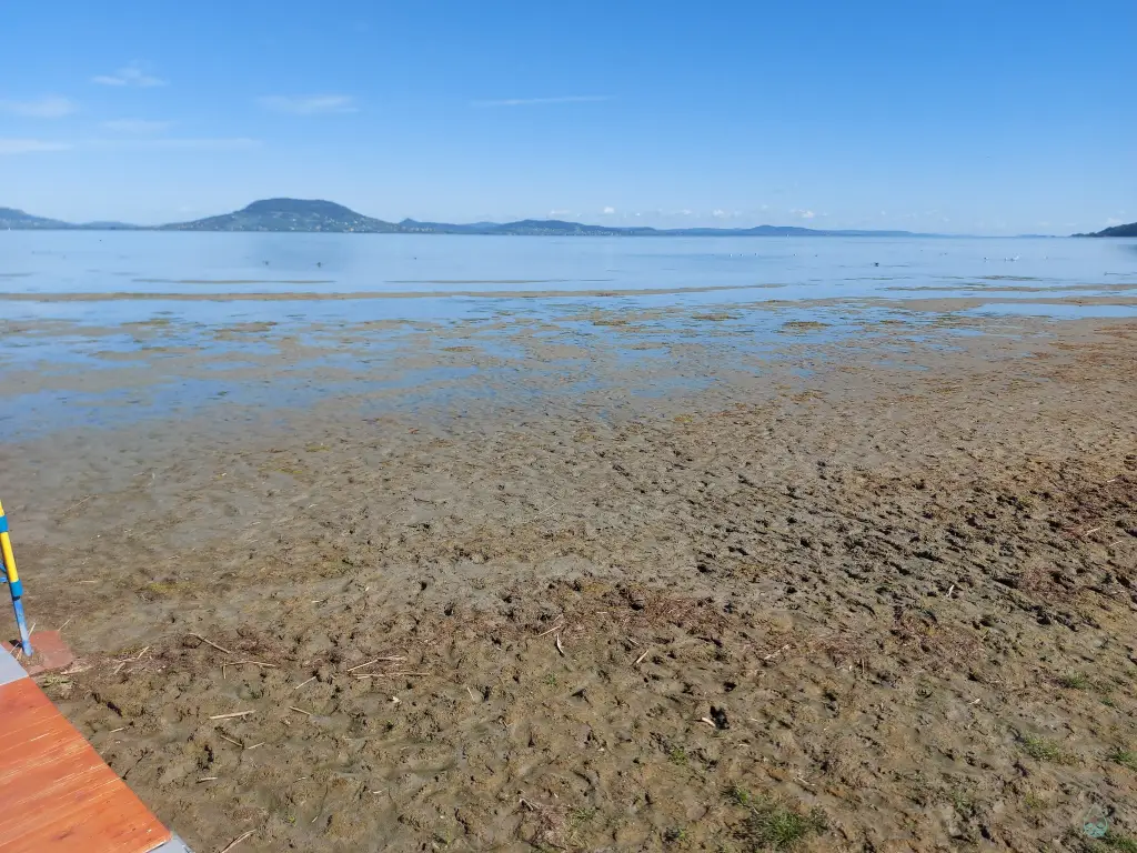 Balaton vízszint