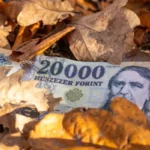 Forint szárnyalás
