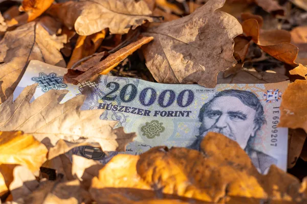 Forint szárnyalás