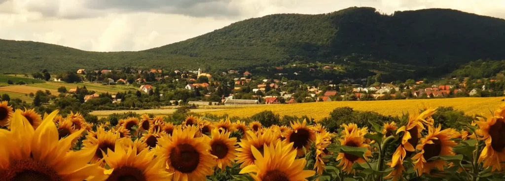 Hosszúhetény magyar falu turizmus ENSZ díj 