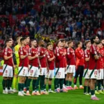 magyarorszag ormenyorszag vb-selejtezo