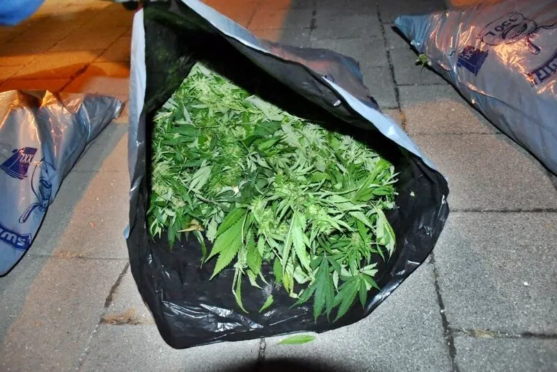 kapuvar drog osztrak ferfi tankolas