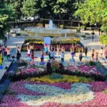 Budapest Margit-negyed gasztronómia közösség város