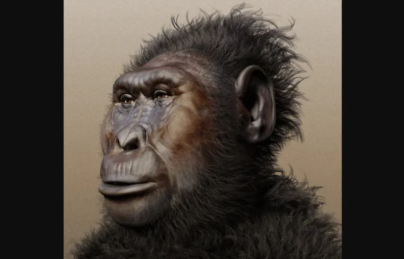 paranthropus-boisei-diotoro-ember