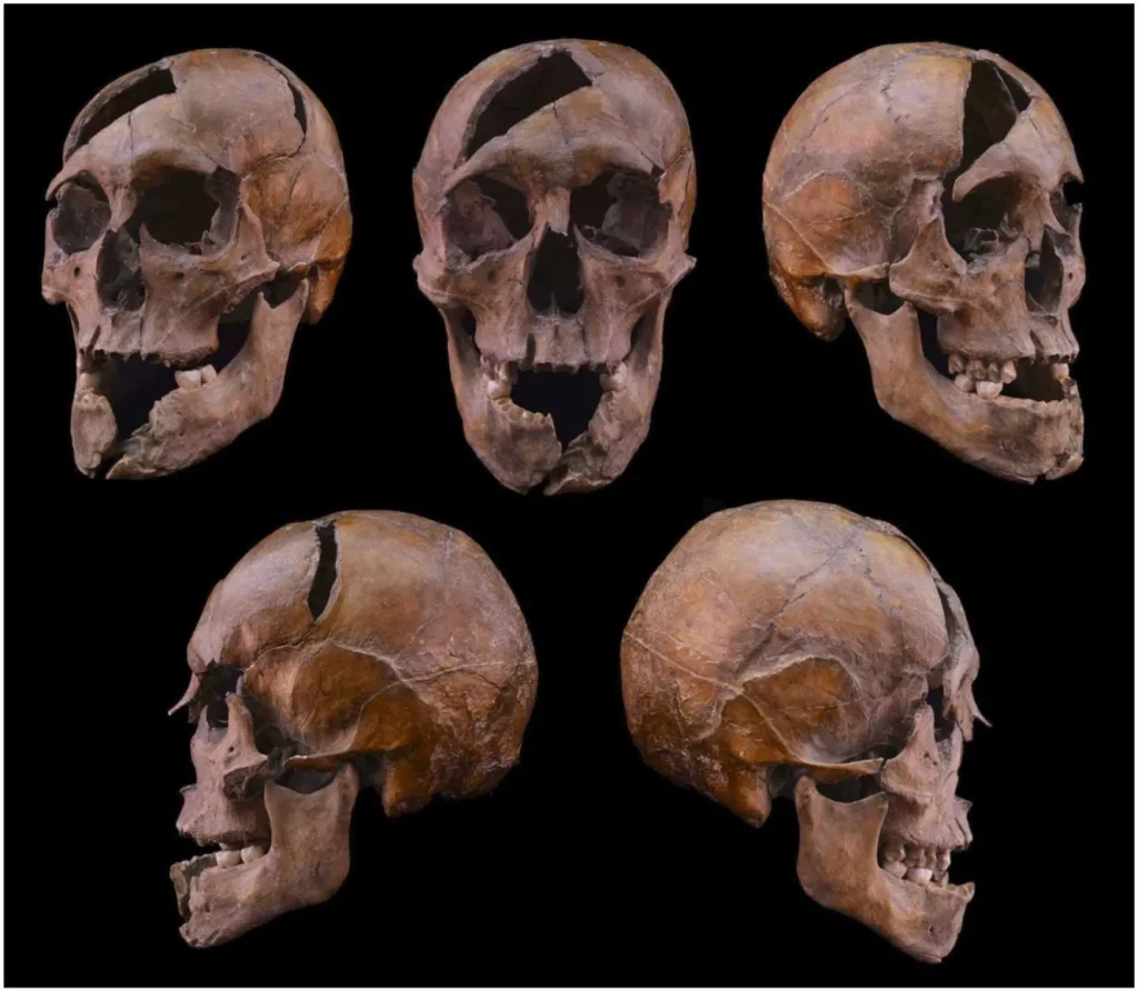 arpad-hazi-bela-macso-hercege