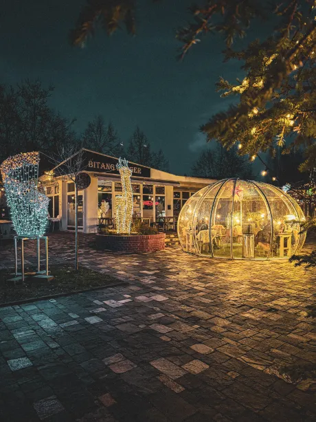 Balaton Bitang Burger