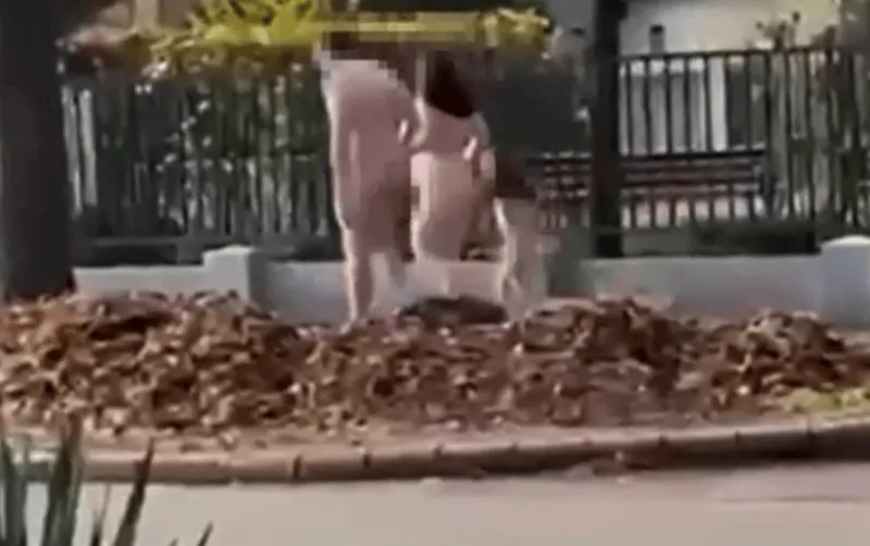 debrecen-meztelen-ordoguzes