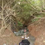 Erdély új szenzációja: páratlan dinoszaurusz-lelőhely került elő!