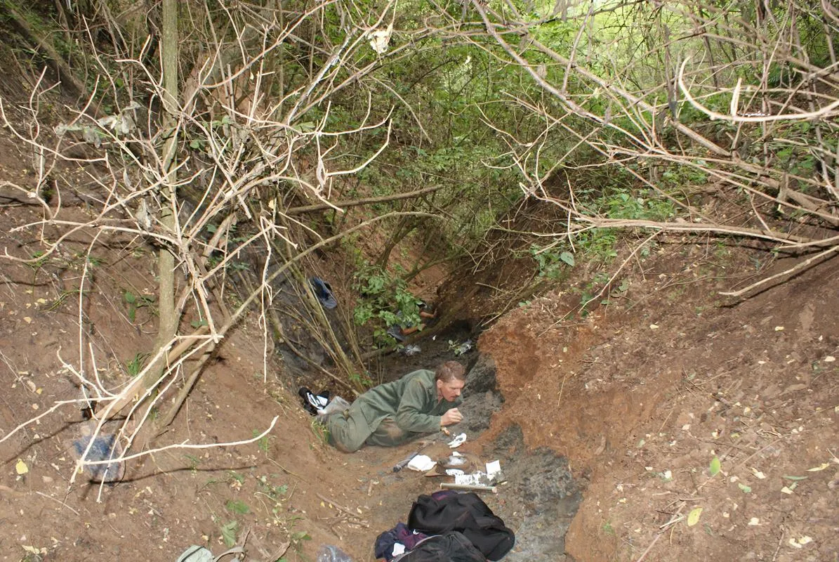 Erdély új szenzációja: páratlan dinoszaurusz-lelőhely került elő!