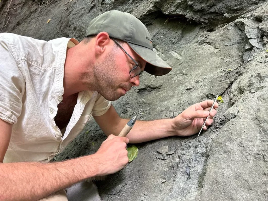 A kutatócsoport vezetője: Dr. Botfalvai Gábor