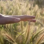 emberi-erintes-hetedik-erzek