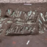 Az ásatás során összesen 225 usépti került elő, mindegyik III. Sesonkh király nevét viselte.