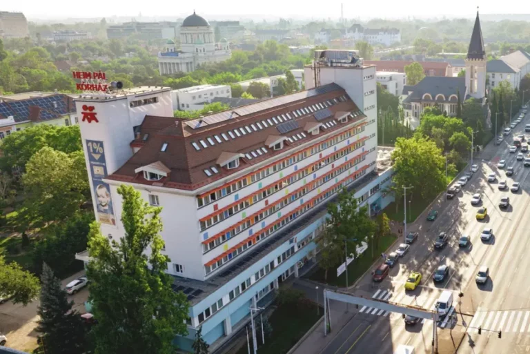 heim-pal-korhaz-budapest (1)