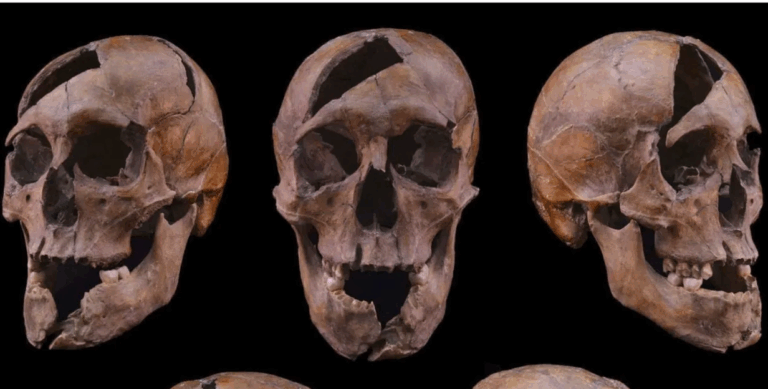 arpad-hazi-bela-macso-hercege