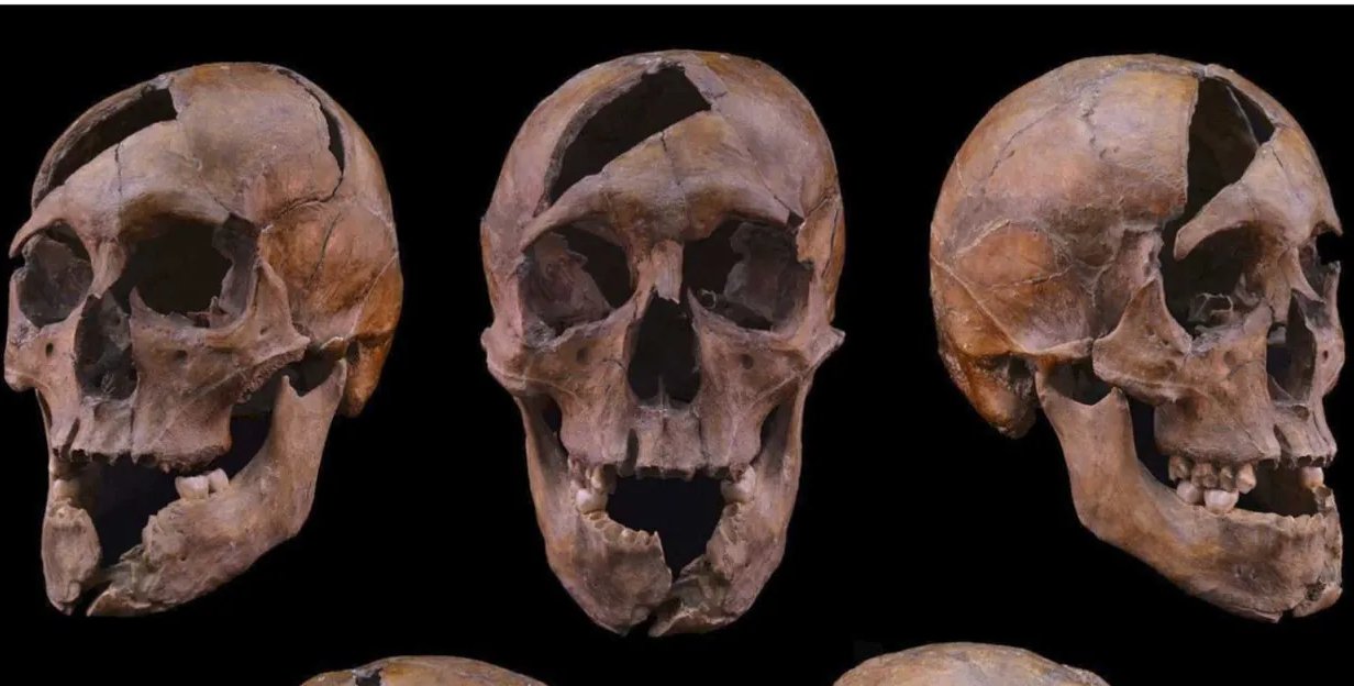 arpad-hazi-bela-macso-hercege