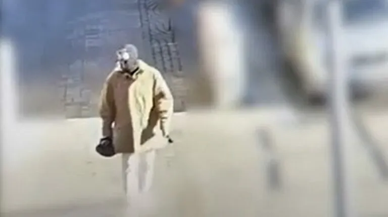 A japán édesanya ír-amerikai gyilkosa