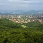 törökbálint költözés 5 millió forint betelepülési díj