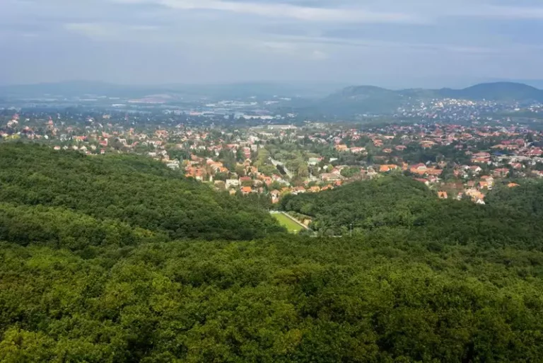 törökbálint költözés 5 millió forint betelepülési díj