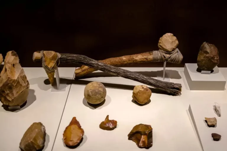 neolitikus forradalom kőeszközök