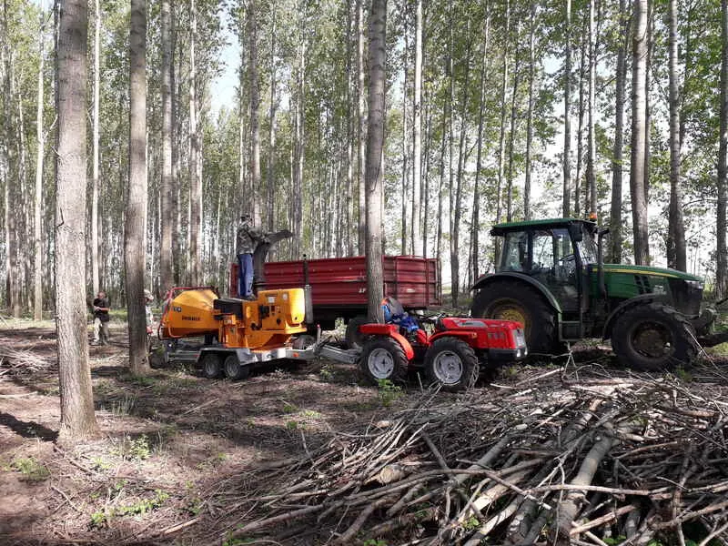 Tudod, melyik Magyarország legolcsóbb utcája? Ezen a településen még 1–2 millió forintért is lehet házat venni Kevermes
