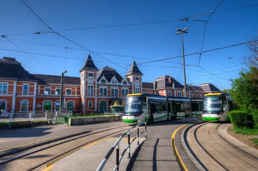 Külföldi férfi végzett a magyar nővel