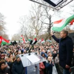 Magyar Péter új felmérés
